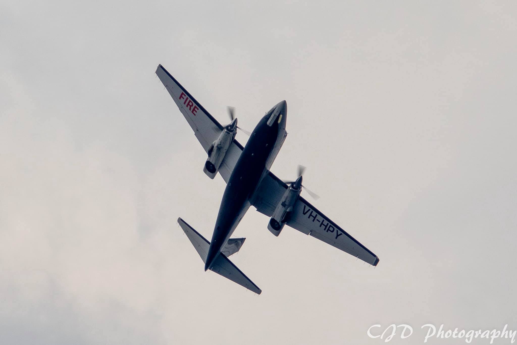 Photo of Birddog 376 - Birddog