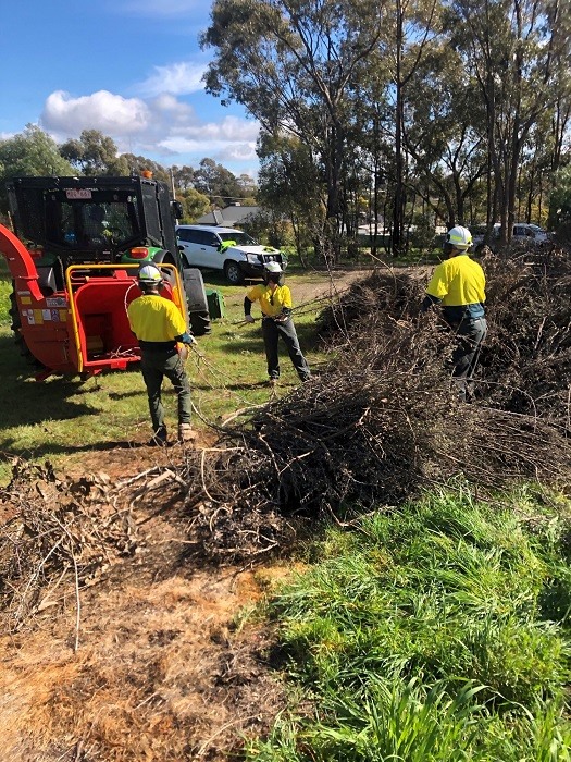 Photo of Bendigo Tractor 2221 - Plant