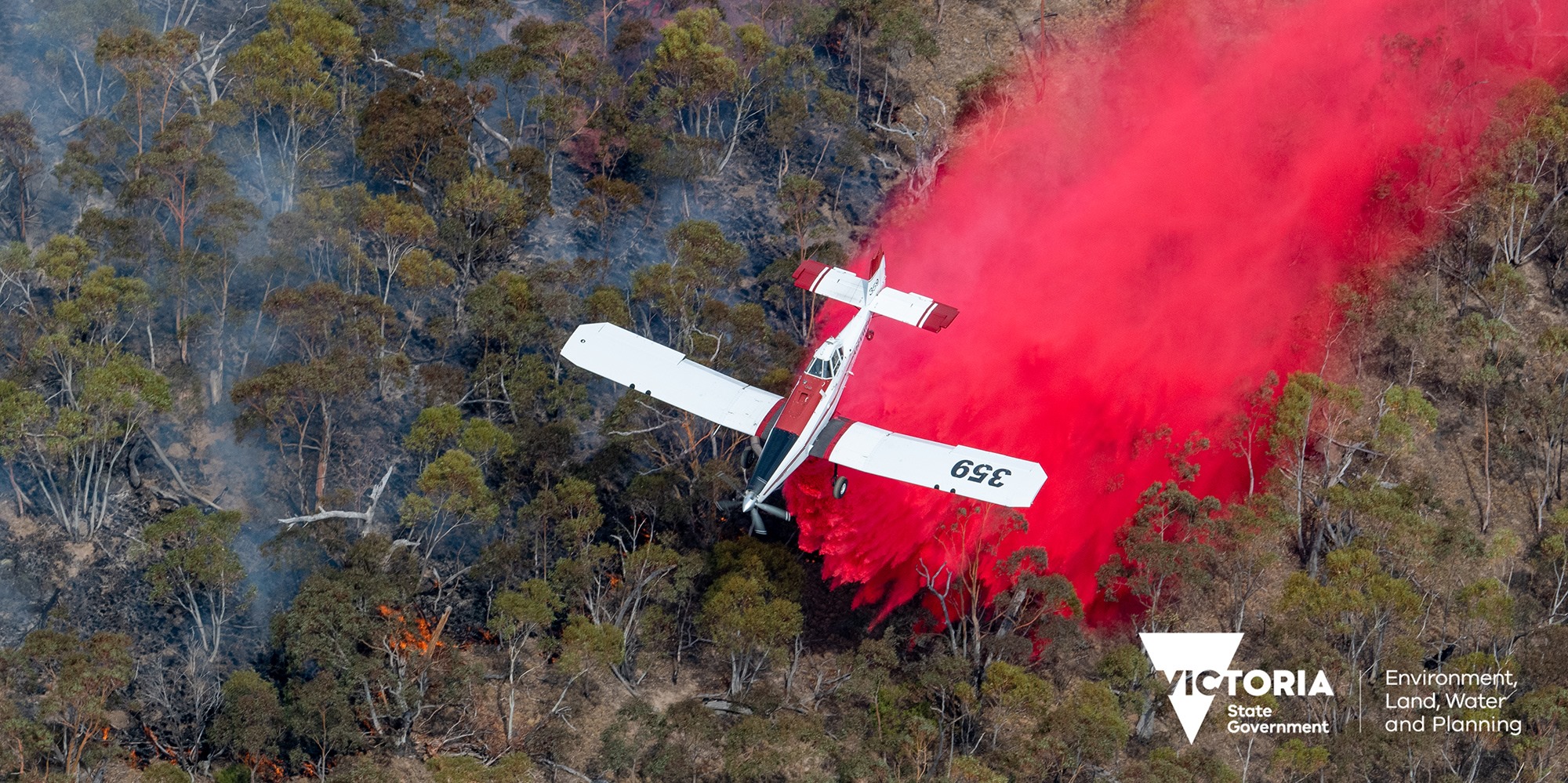 Photo of Bomber 359 - Bomber