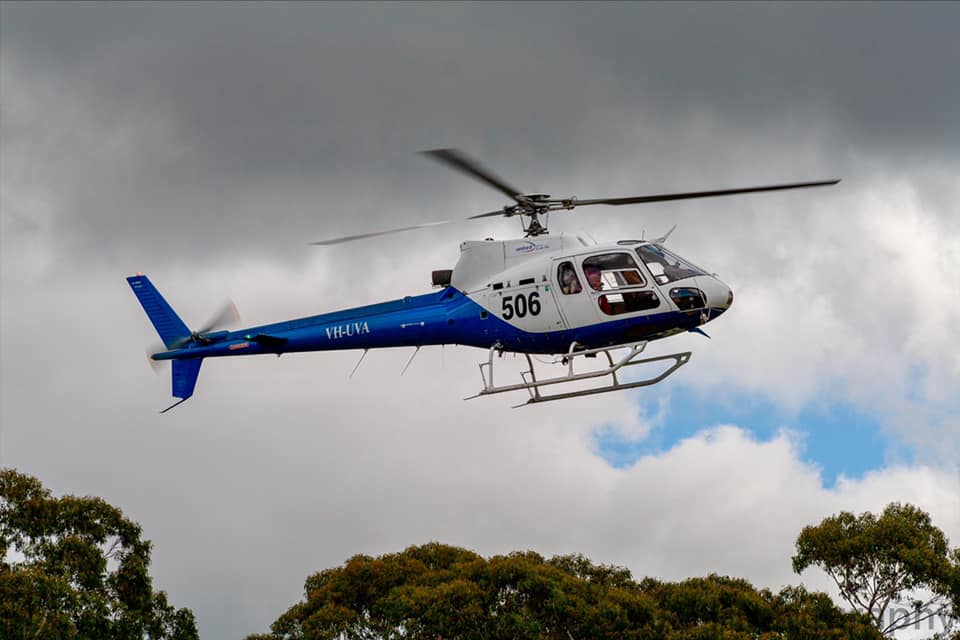 Photo of FIREBIRD 506 - FireBird