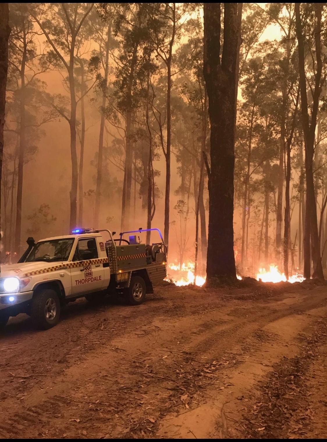 Photo of Thorpdale Ultra-Light