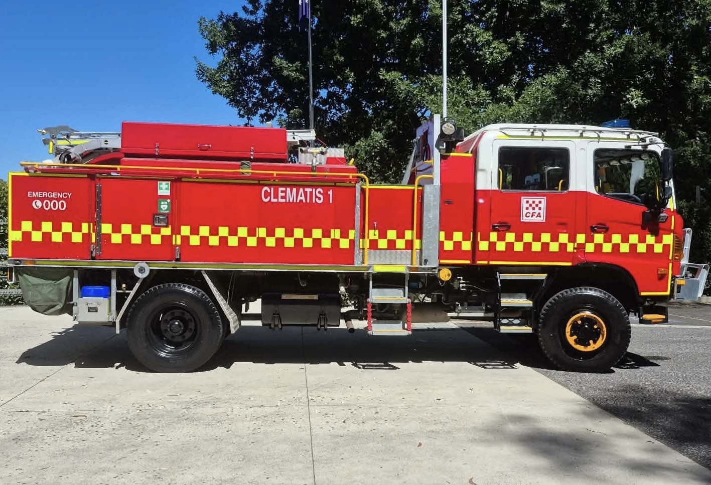 Photo of Clematis Tanker 1