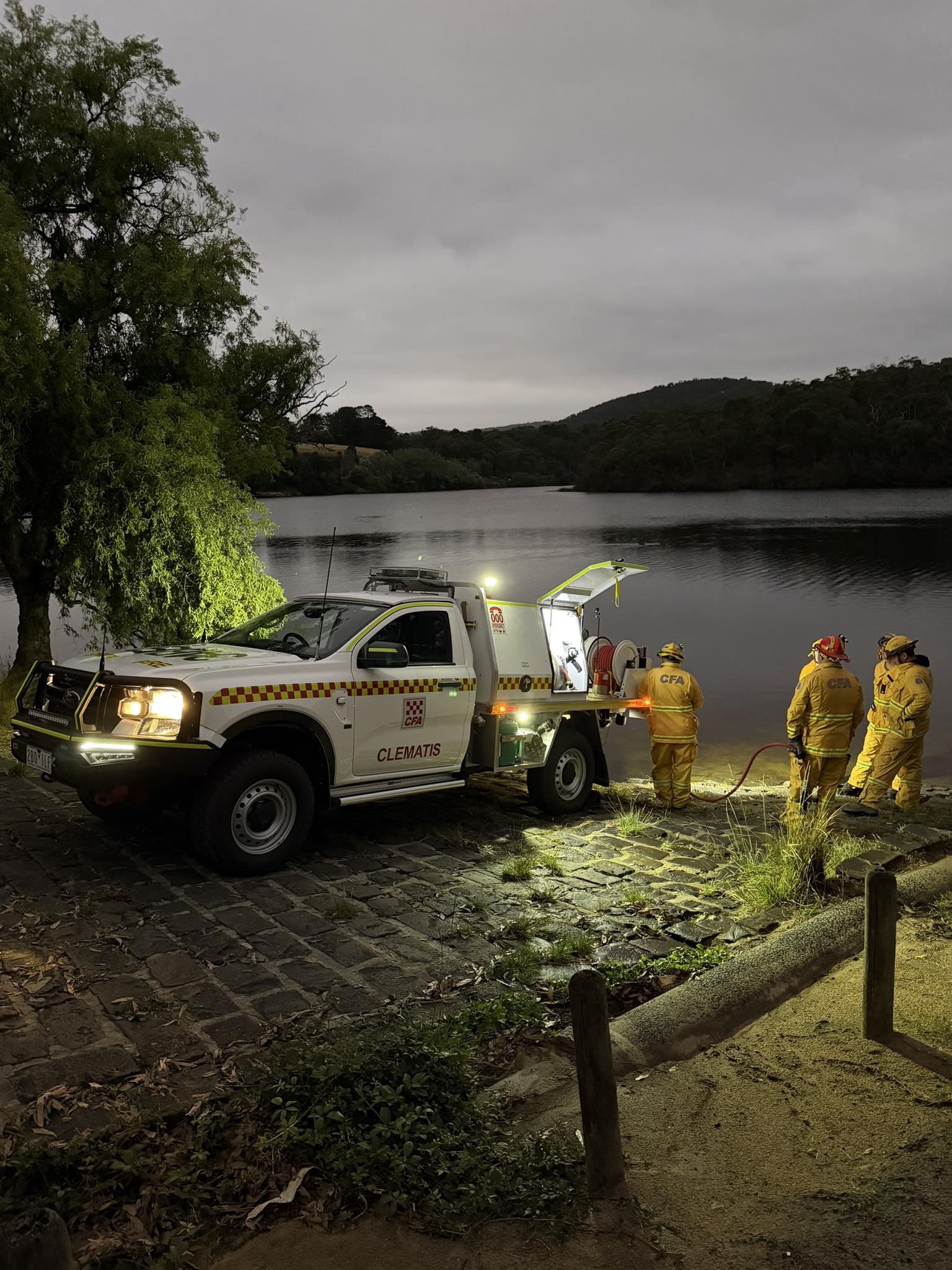 Photo of Clematis Ultra Light
