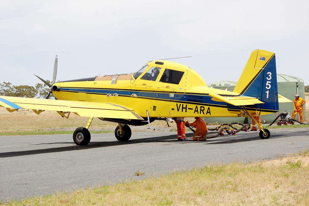 Photo of Bomber 351 - Bomber