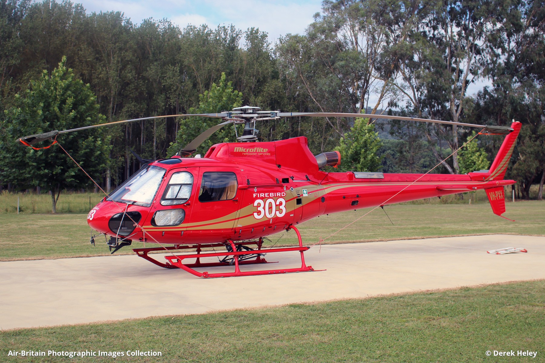 Photo of Firebird 303 - FireBird
