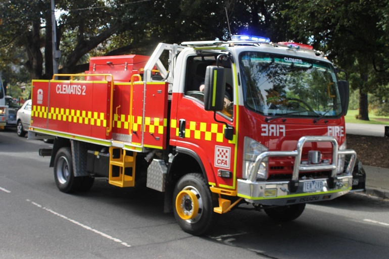 Photo of Clematis Tanker 2